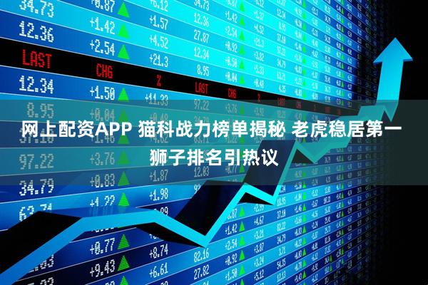 网上配资APP 猫科战力榜单揭秘 老虎稳居第一 狮子排名引热议