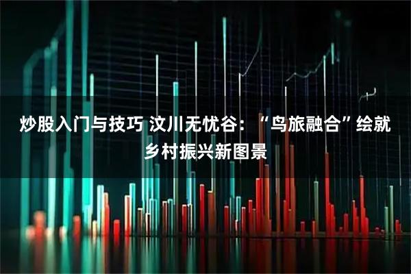 炒股入门与技巧 汶川无忧谷：“鸟旅融合”绘就乡村振兴新图景