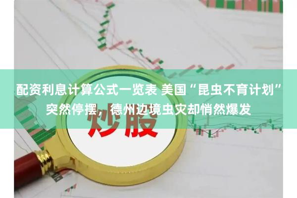 配资利息计算公式一览表 美国“昆虫不育计划”突然停摆，德州边境虫灾却悄然爆发