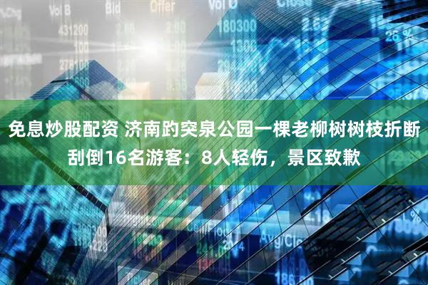 免息炒股配资 济南趵突泉公园一棵老柳树树枝折断刮倒16名游客：8人轻伤，景区致歉