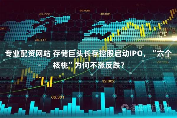 专业配资网站 存储巨头长存控股启动IPO，“六个核桃”为何不涨反跌？